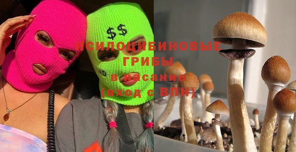 марки nbome Белокуриха