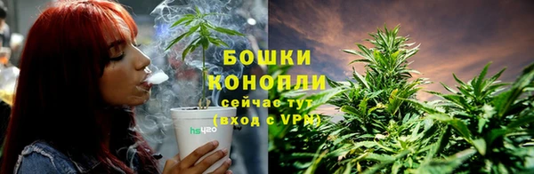 spice Беломорск