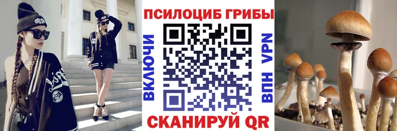 Псилоцибиновые грибы Magic Shrooms  Вязники 