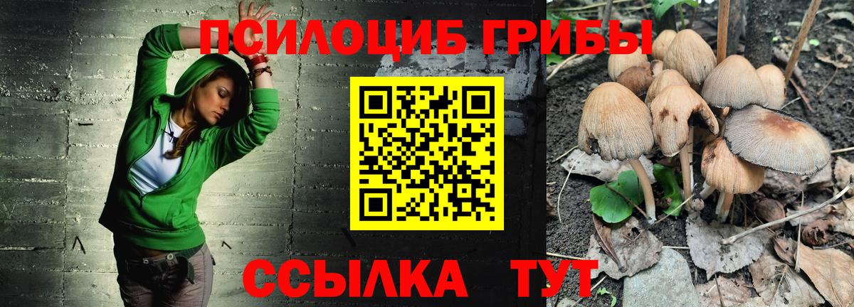Галлюциногенные грибы мицелий  Вход с VPN  Вязники  Галлюциногенные грибы Cubensis 