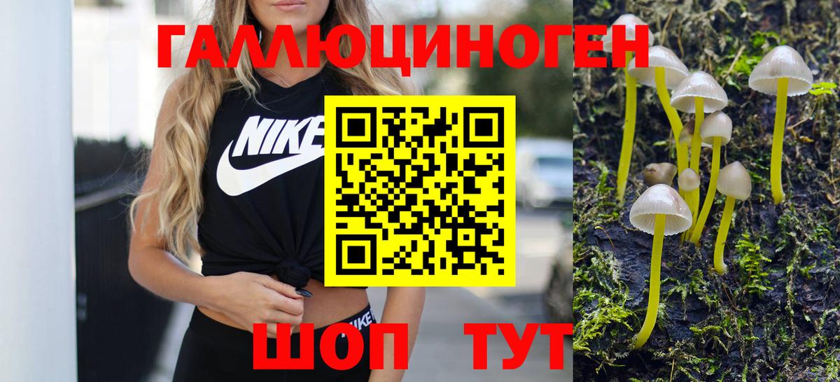 Галлюциногенные грибы Magic Shrooms Вязники